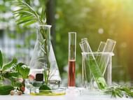 Carefully selecting ingredients (Image via Shutterstock)